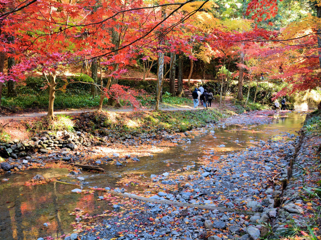 Okuni Jinja Shrine-森町必去景点