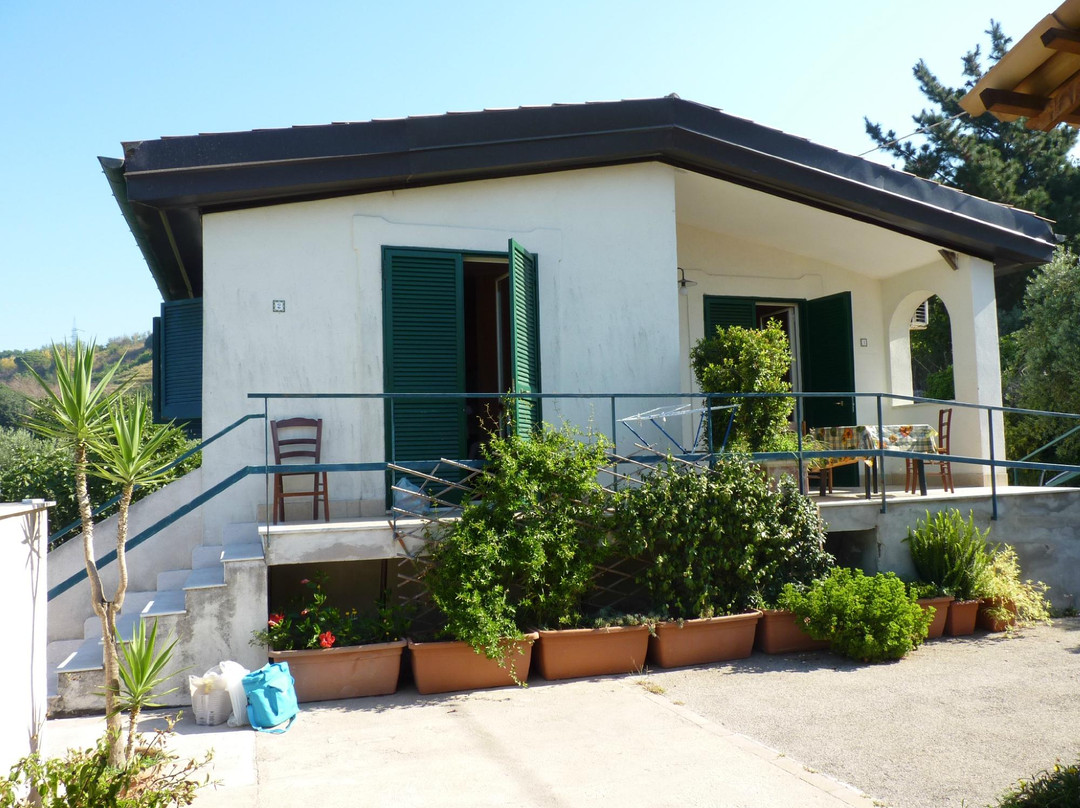 Tenuta Monte Sant'Angelo主图