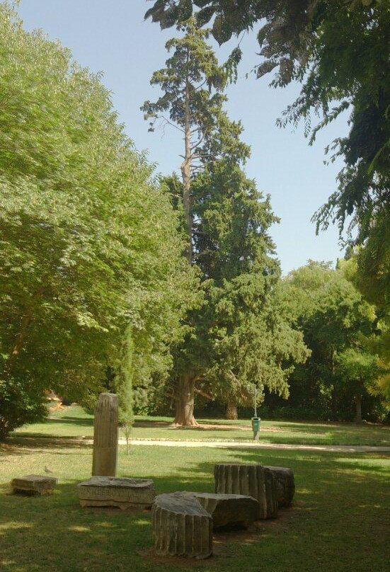 National Garden-雅典必去景点