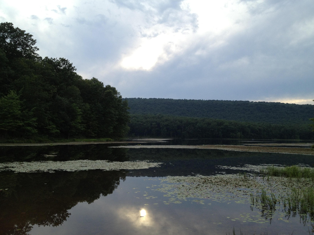 Sleepy Creek Wildlife Management Area-Hedgesville必去景点