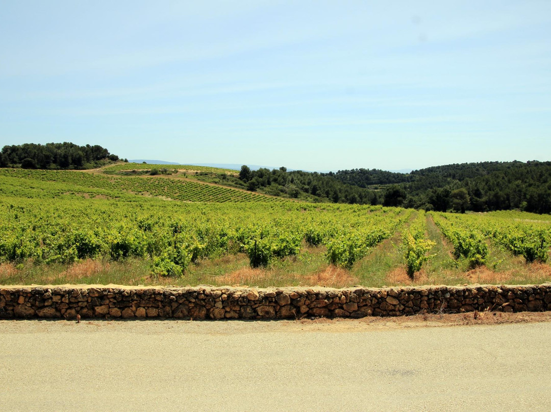 Domaine de Coyeux景点图片