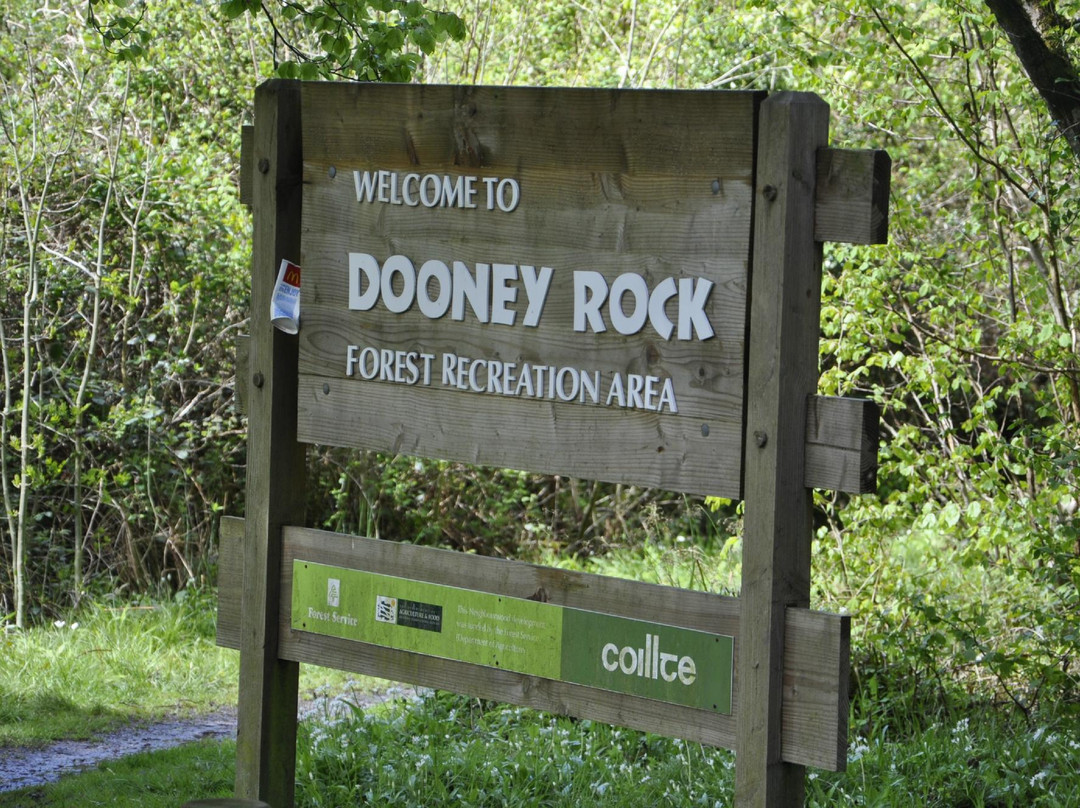 Dooney Rock Forest Park景点图片