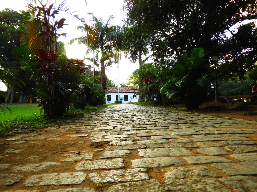 Museu Monteiro Lobato景点图片