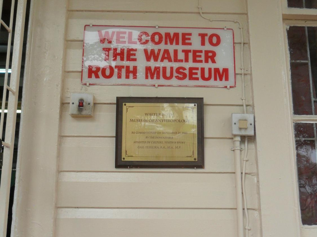 Walter Roth Museum of Anthropology景点图片