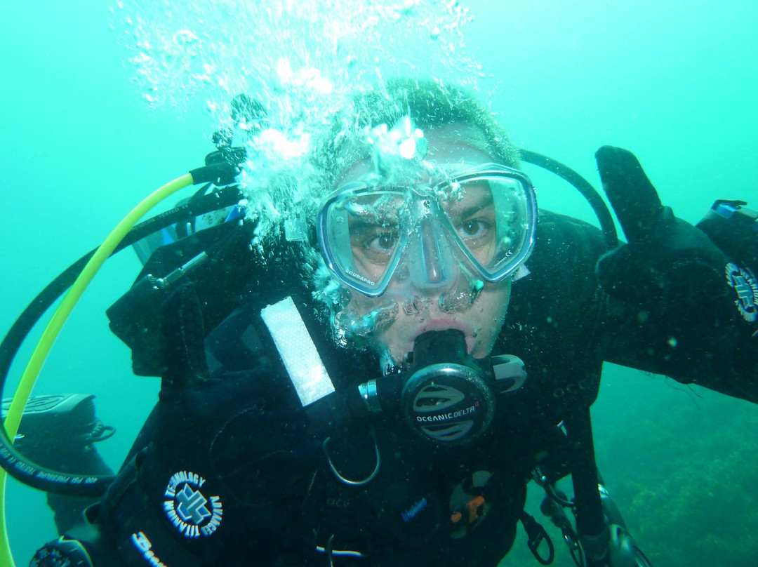 Dolphin Dive Fremantle-弗里曼特尔必去景点