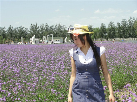蓝调薰衣草庄园-北京市必去景点