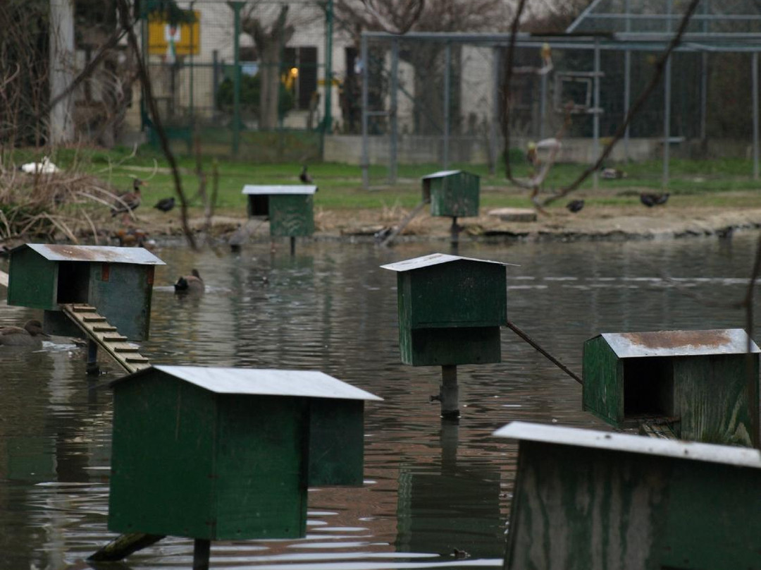 Associazione Centro Cicogne E Anatidi-Racconigi必去景点