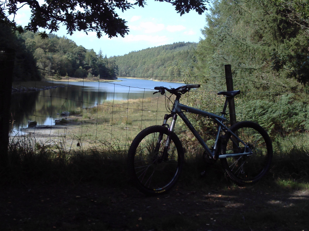 Gwydir Forest景点图片