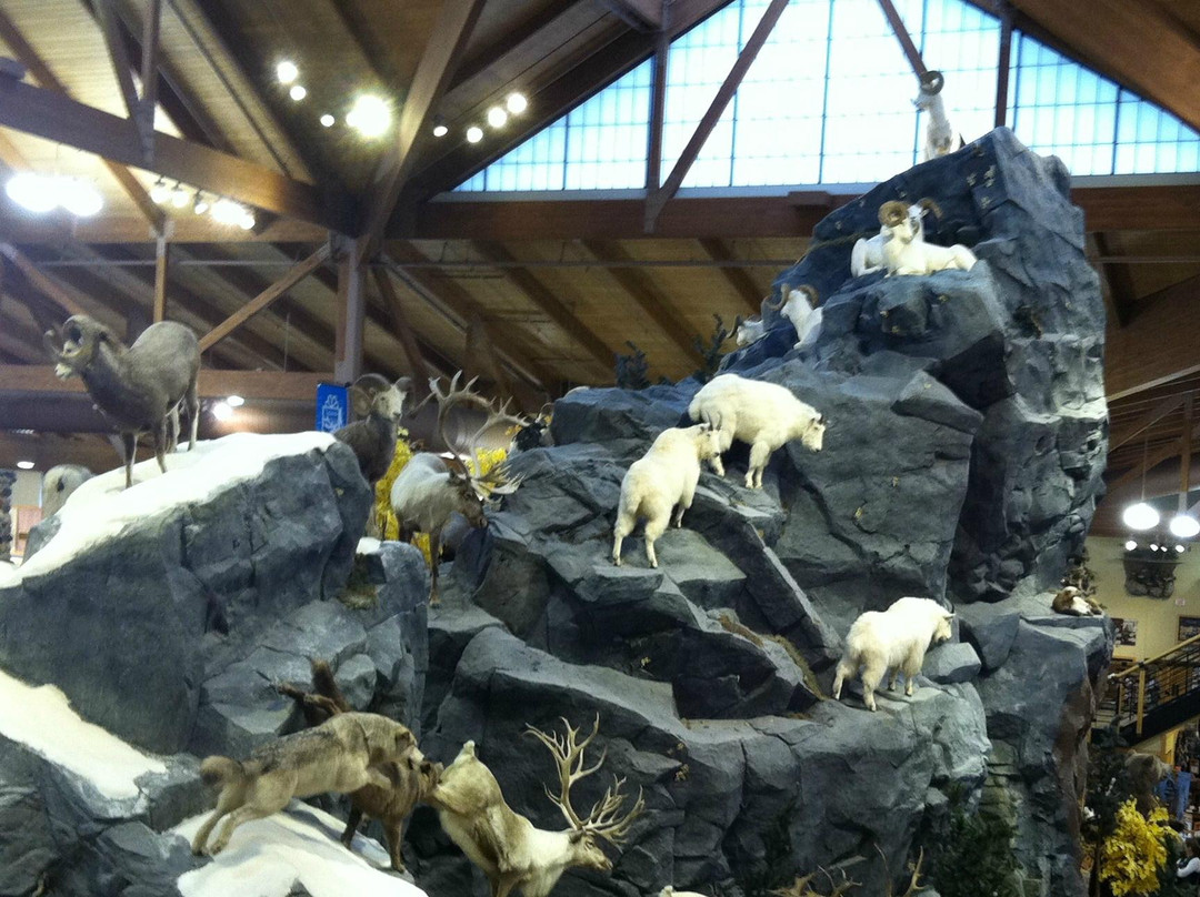 Cabela's-Owatonna必去景点