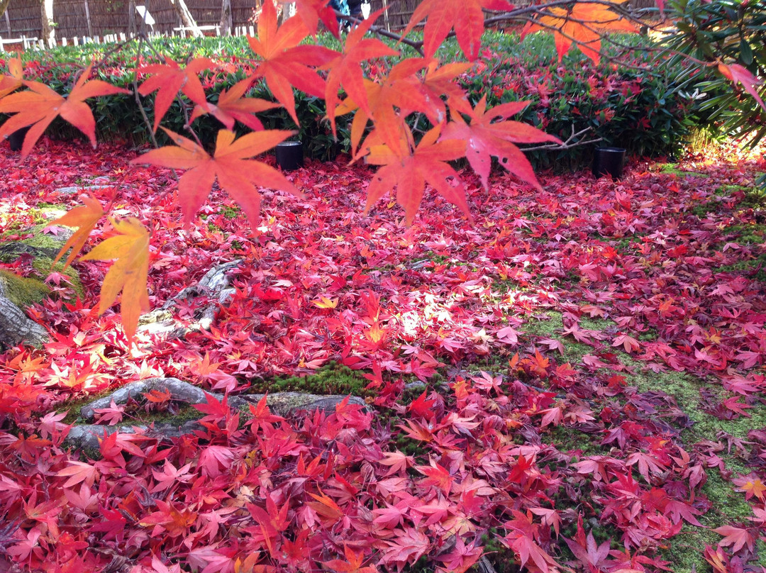 宝严院-京都市必去景点