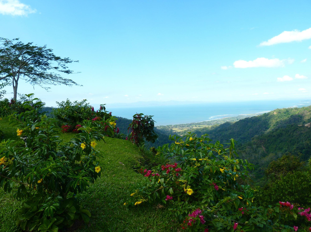 Pura Vida Gardens and Waterfalls-哈科必去景点