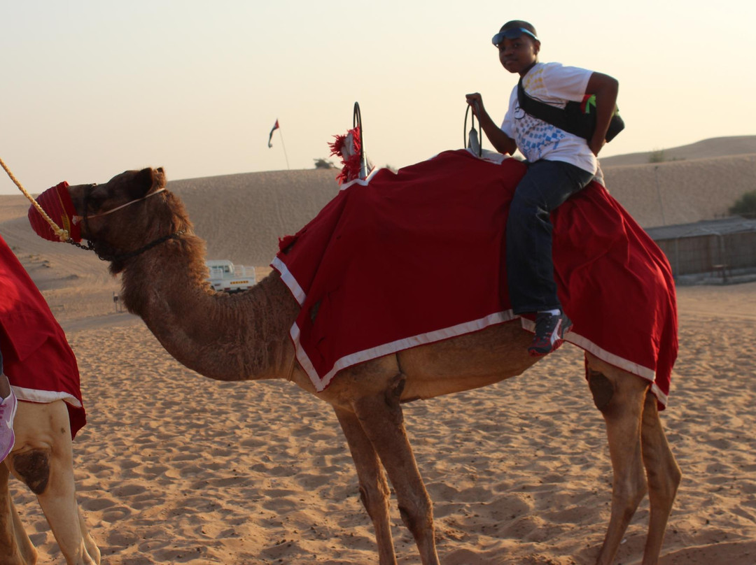 Dubai Desert Safari Tours-迪拜必去景点