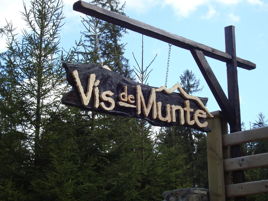 Vis de Munte主图