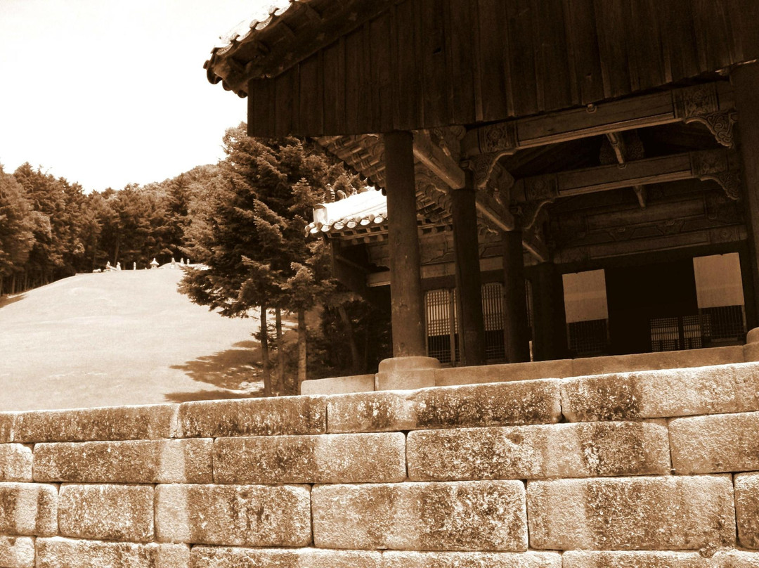 Seooreung Royal Tombs-高阳市必去景点