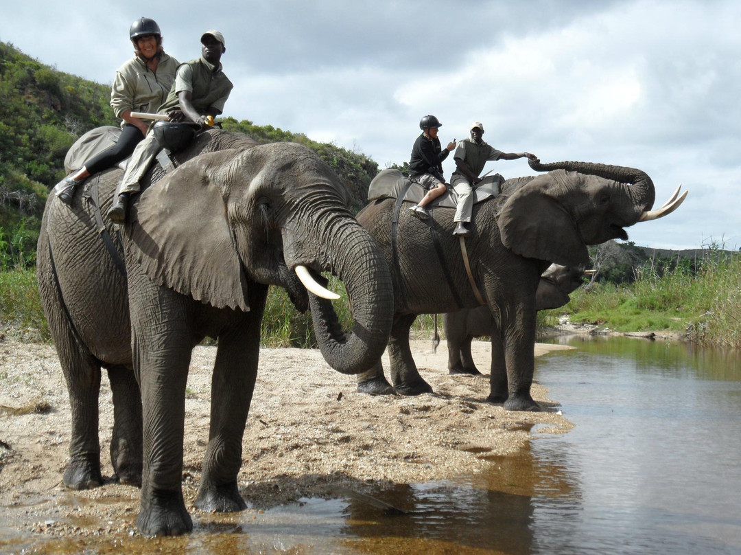 Botlierskop Private Game Reserve-莫塞尔贝必去景点