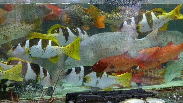 西贡海鲜街-香港必去景点