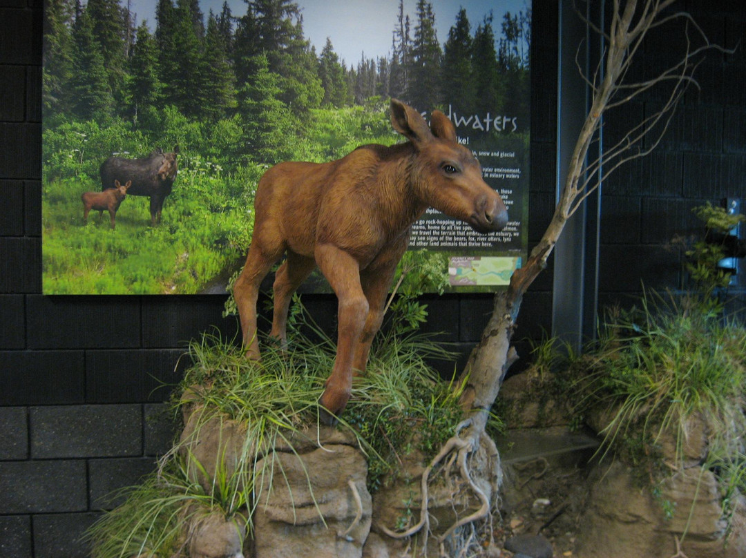 阿拉斯加岛与海洋游客中心-荷马必去景点