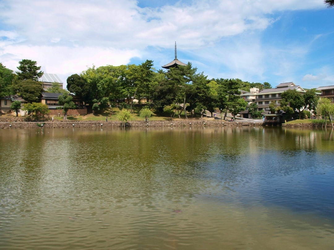Sarusawa Pond-奈良市必去景点