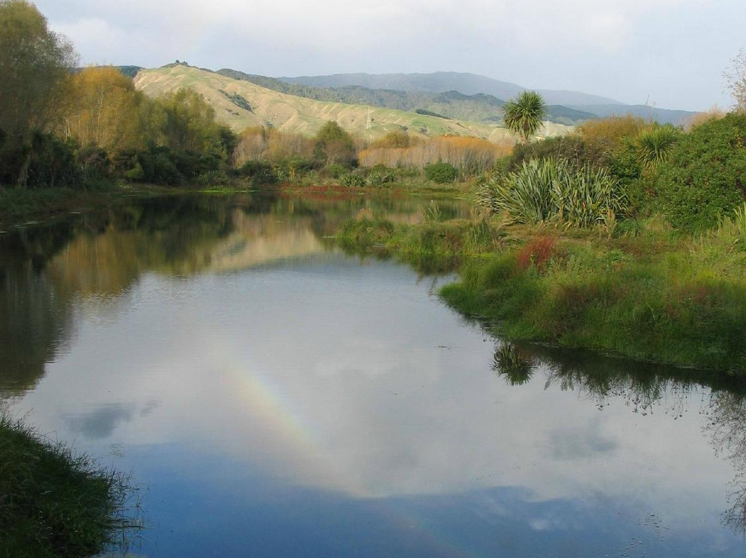 Otaki River Walks景点图片