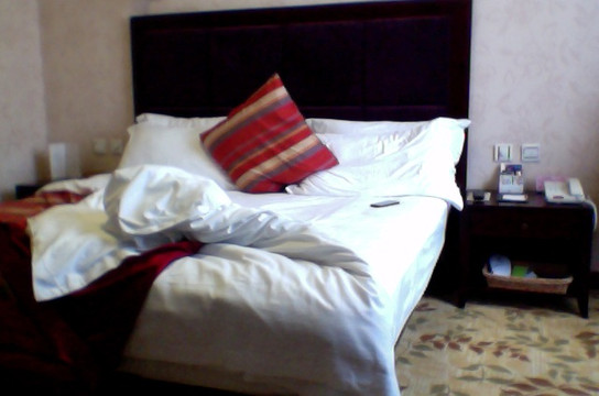 瑞贝卡大酒店（郑州二七广场店）主图