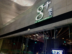 Gallery 3