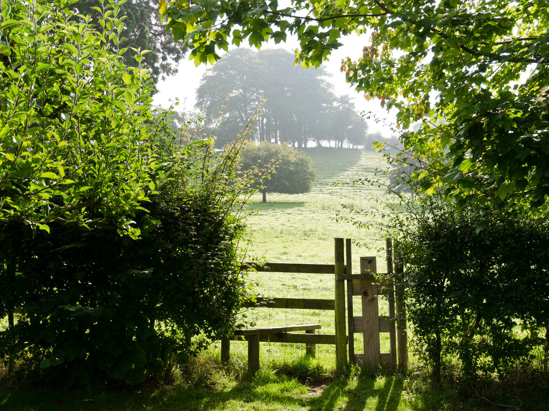 Chalice Hill House主图