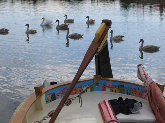Il Bragozzo - Local boats in Venice-威尼斯必去景点