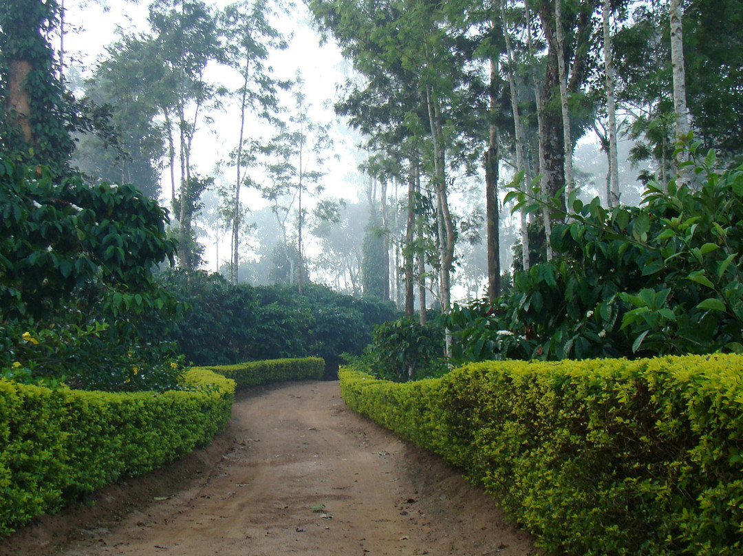 Polaycad Bungalow主图