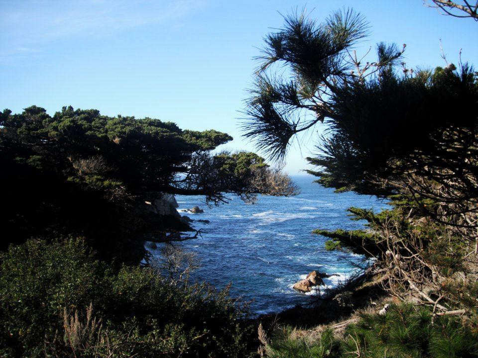 罗伯斯角州立保护区-卡梅尔必去景点