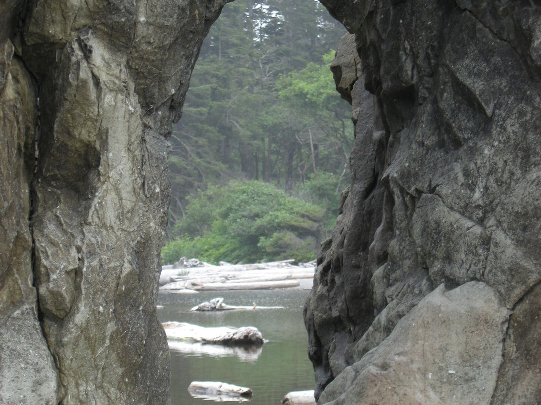 Olympic Peninsula Loop Drive景点图片