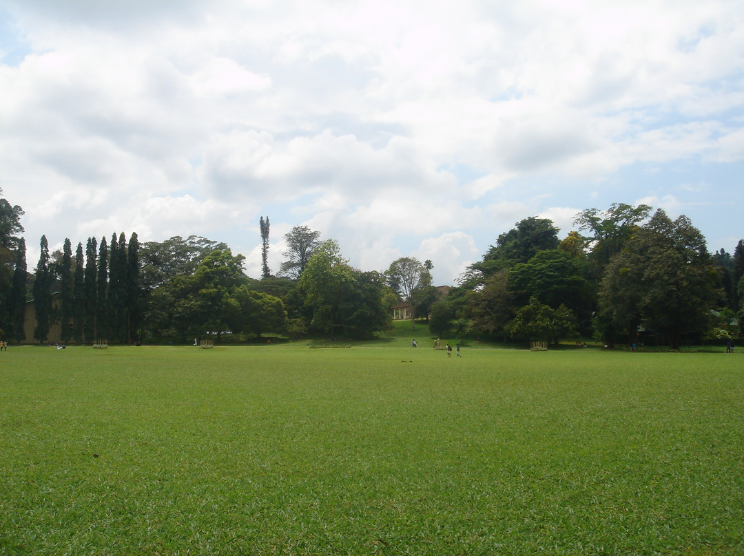 皇家植物园-佩拉德尼亚必去景点