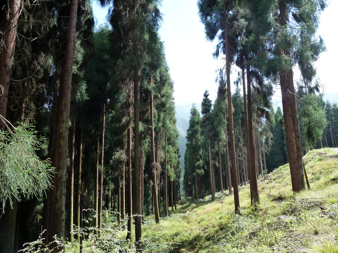 鸡冠山-崇州市必去景点