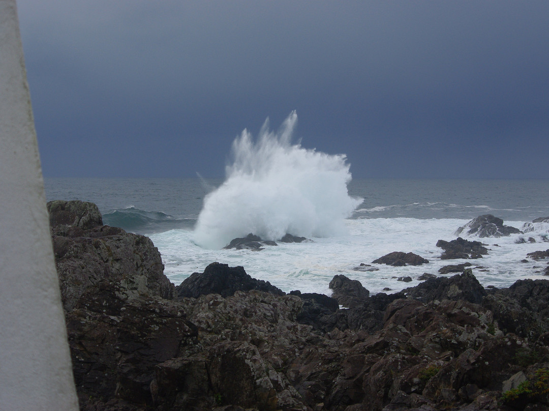 Wild Pacific Trail景点图片