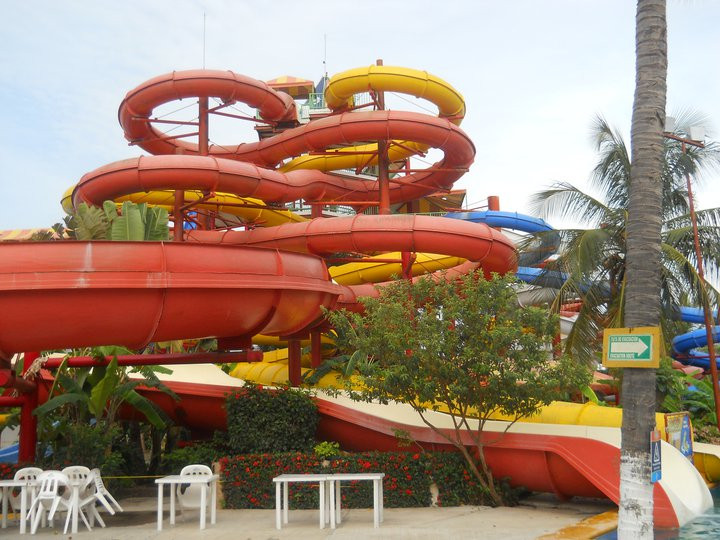 Dolphin Discovery Puerto Vallarta-新瓦雅塔必去景点