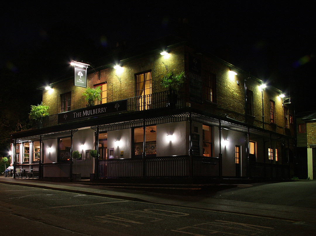 The Mulberry