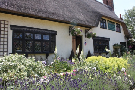 Nuthampstead餐馆和美食-The Red Cow