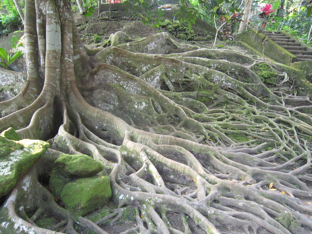 象窟-乌布必去景点