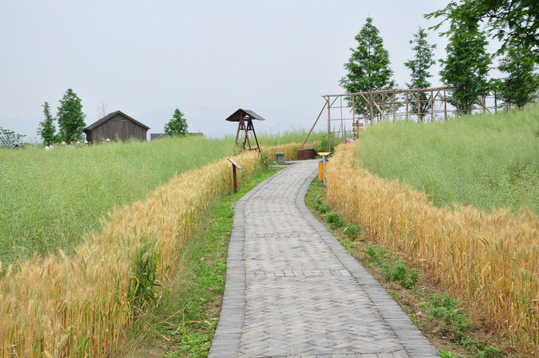 下渚湖风景区-德清县必去景点