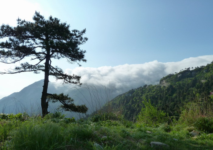 庐山锦绣谷景点图片