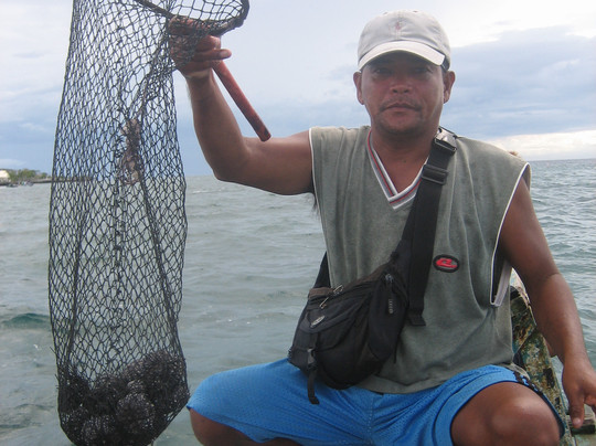 科尔多瓦珊瑚礁度假村