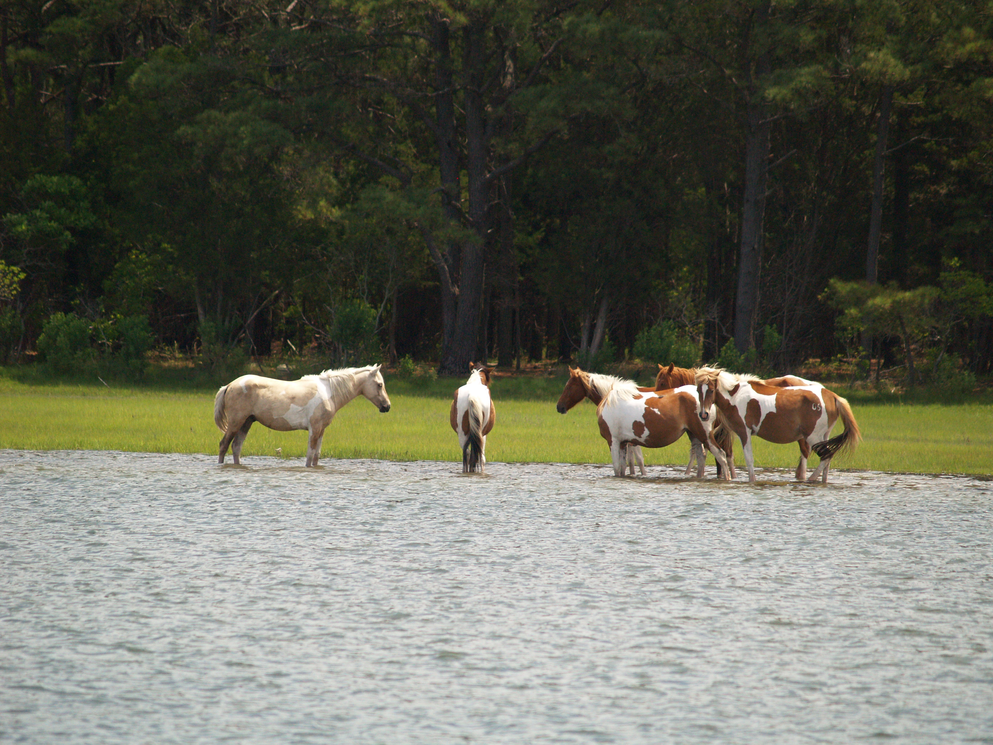 Inn at Poplar Corner-酒店景观