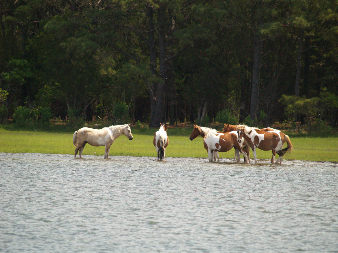 Inn at Poplar Corner主图