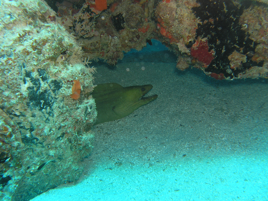 Barracuda Scuba Diving Center景点图片