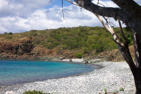 Salt Pond Bay-维尔京群岛国家公园必去景点