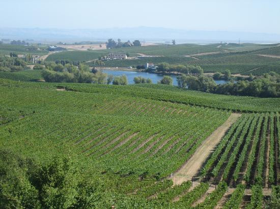 阿尔特萨酒庄-纳帕必去景点