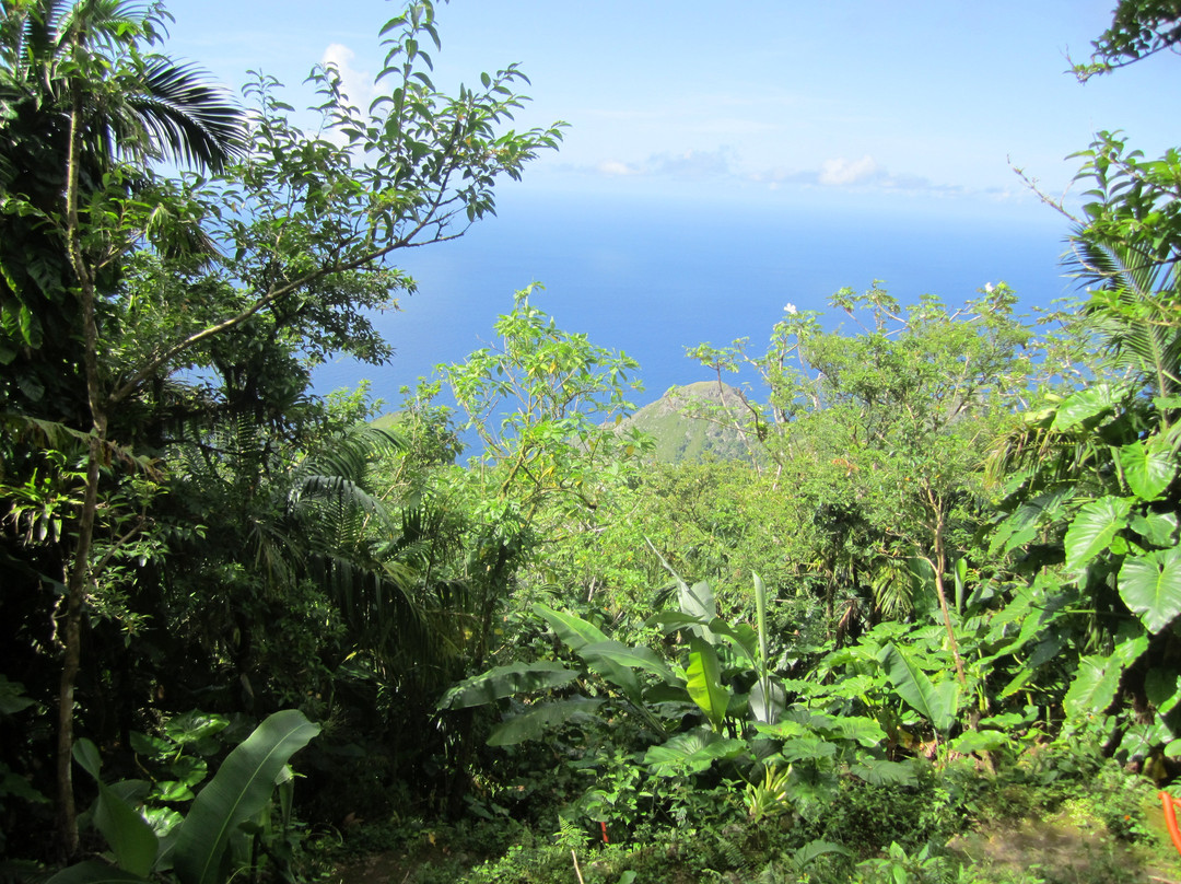 Mount Scenery-Windwardside必去景点