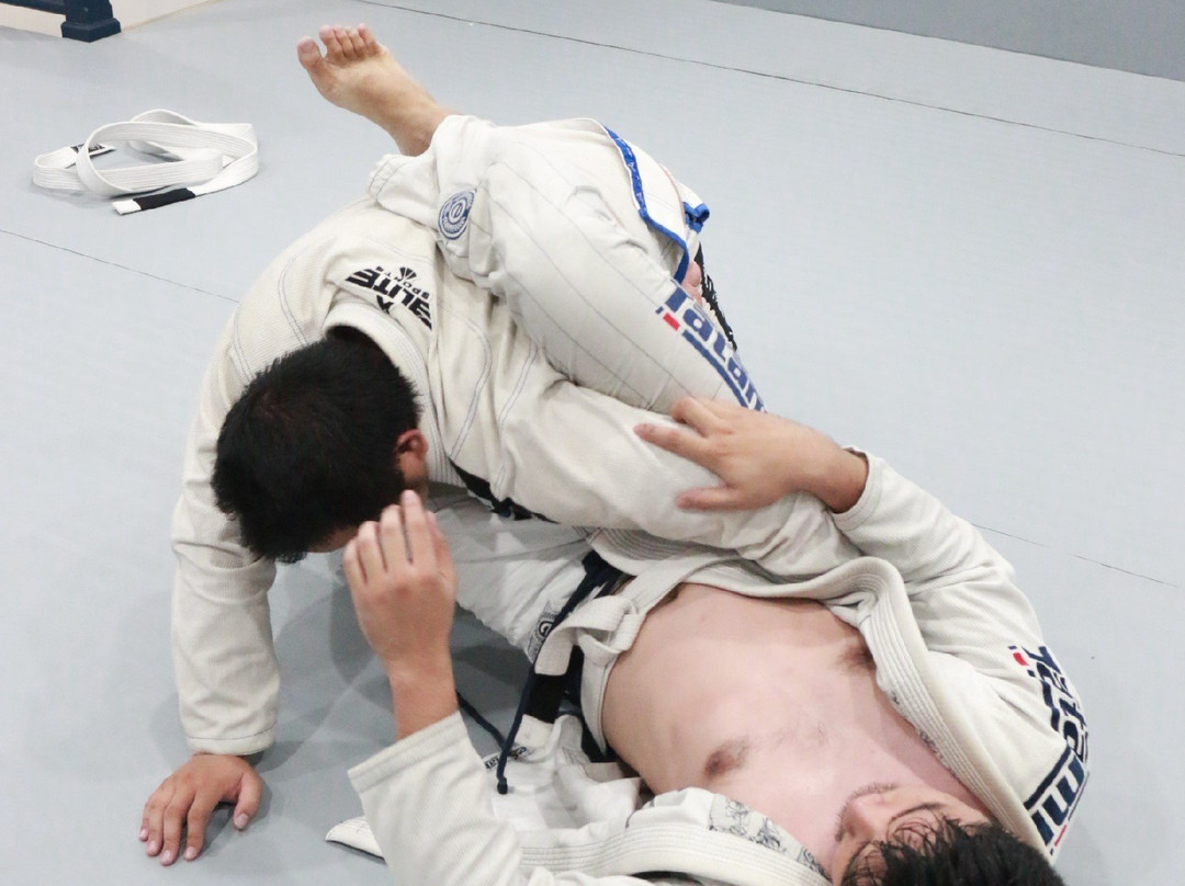 Pure Grappling Jiu Jitsu Collective-清迈必去景点