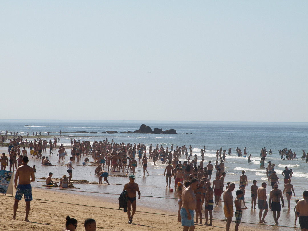 Praia Gale景点图片