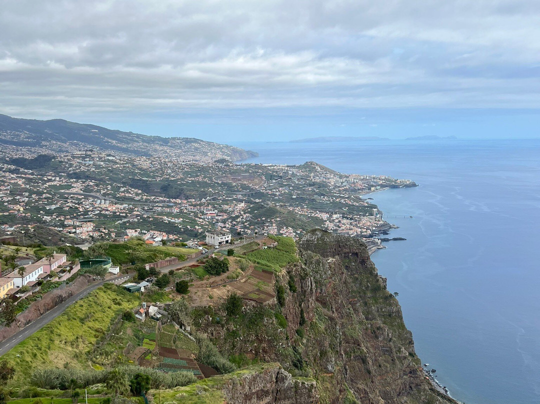 Madeira Green Train-Camara De Lobos必去景点