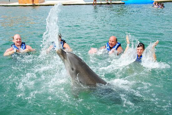 Delphinus Punta Cancun景点图片
